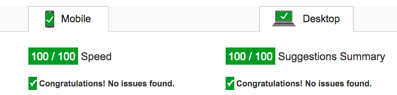100 on the Pagespeed Insights test 100 on the Pagespeed Insights test